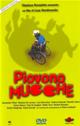 PIOVONO MUCCHE