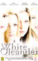 WHITE OLEANDER